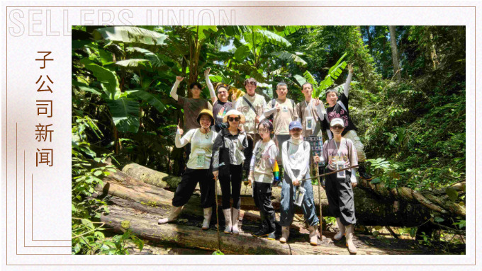 探雨林秘境，與森林同呼吸——記優(yōu)景公司年中西雙版納團建旅游